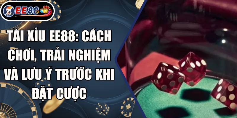 Tài Xỉu EE88: Cách Chơi, Trải Nghiệm Và Lưu Ý Trước Khi Đặt Cược